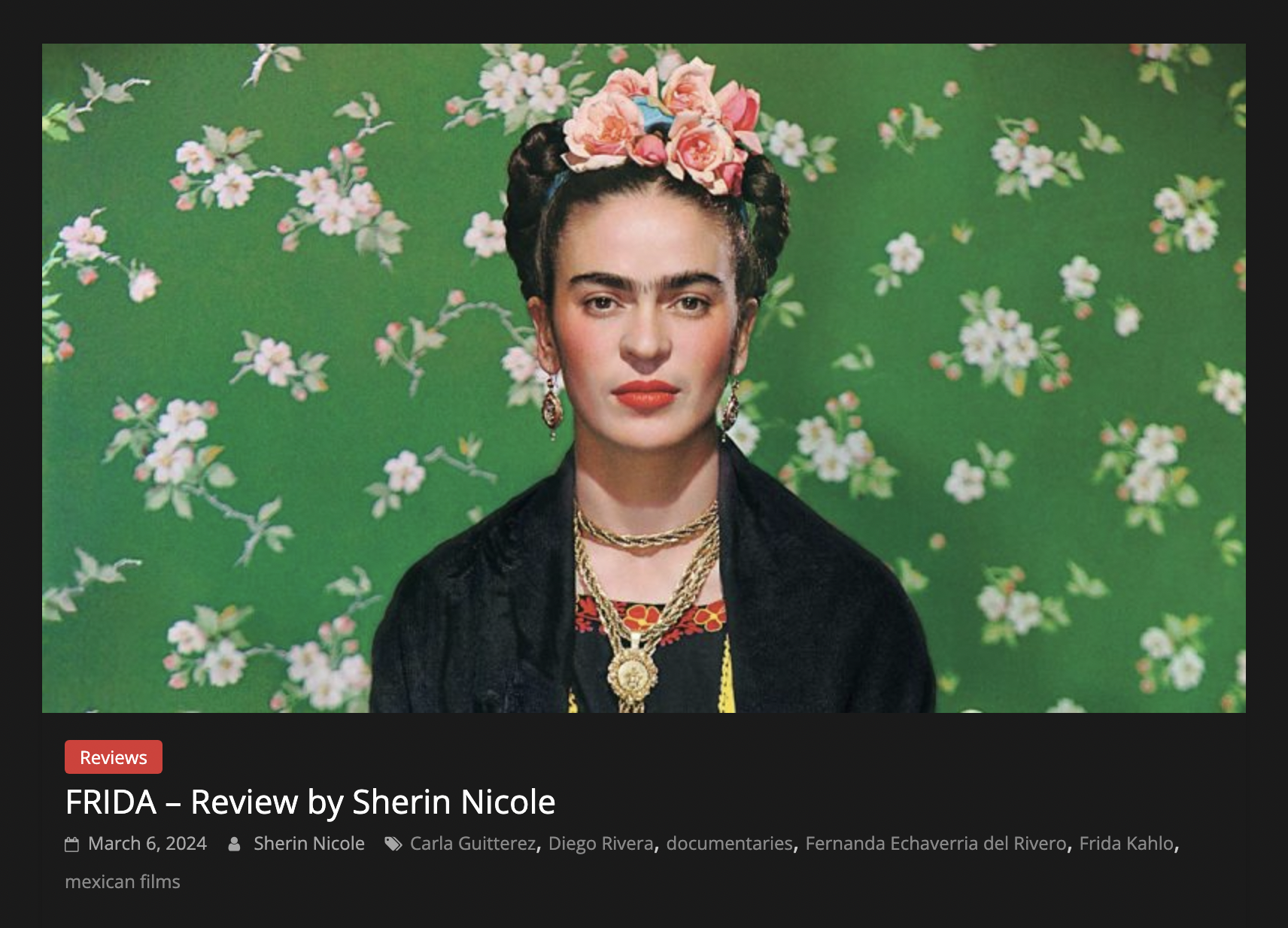 FRIDA (2024) for AWFJ