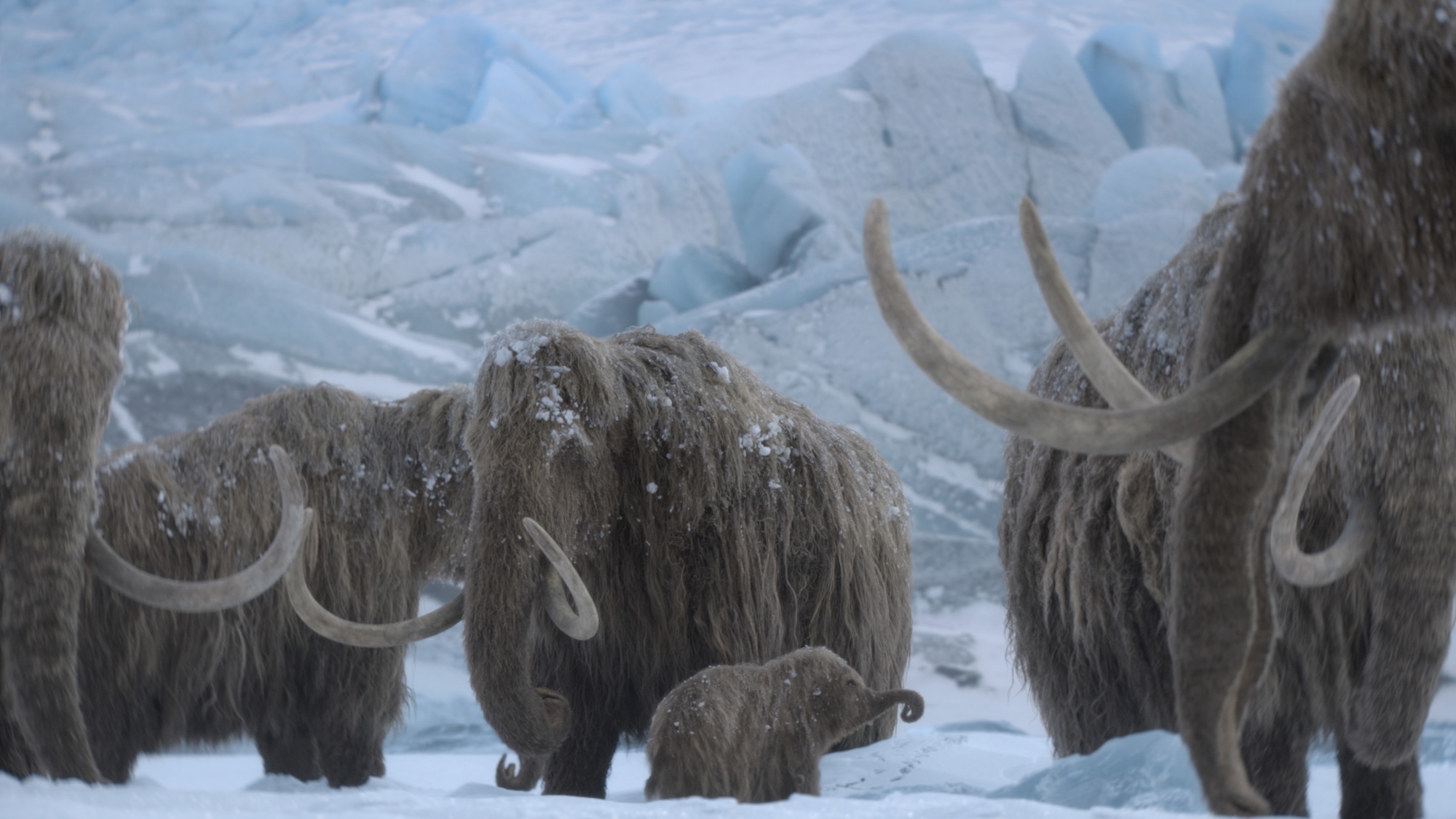 Season Appetizer: Prehistoric Planet: Ice Age