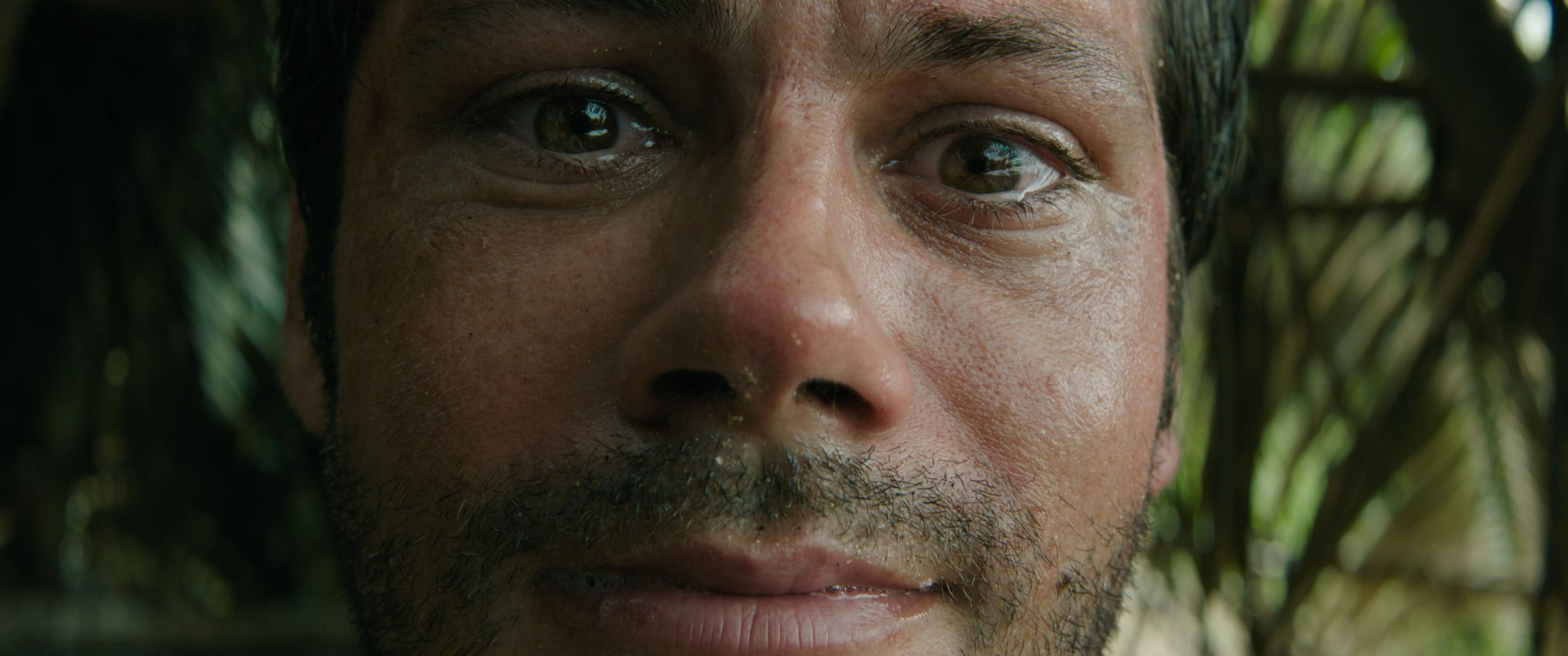 Dylan O'Brien picked the wrong woman to mess with