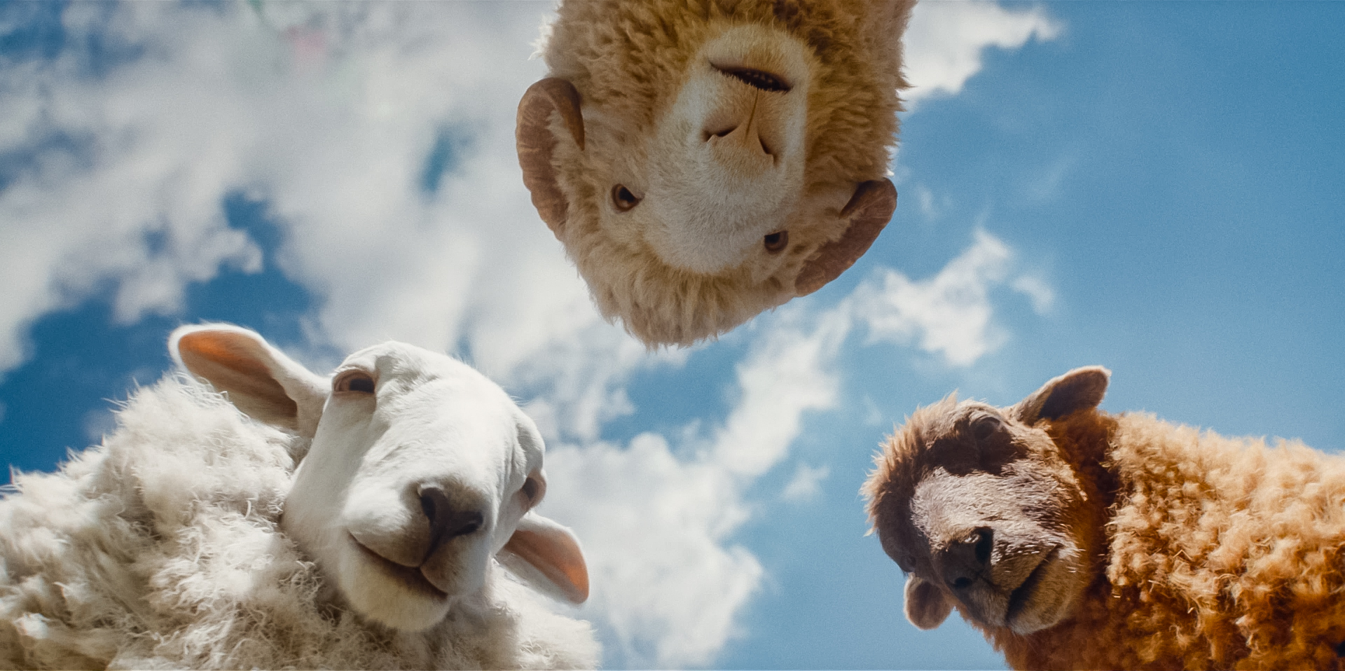 (L to R) Regina Hall as the voice of Cloud, Chris O’Dowd as the voice of Mopple and Julia-Louis Dreyfus as the voice of Lily in THE SHEEP DETECTIVES, from Amazon MGM Studios. Photo credit: Courtesy of Amazon MGM Studios © 2026 Amazon Content Services LLC. All Rights Reserved.